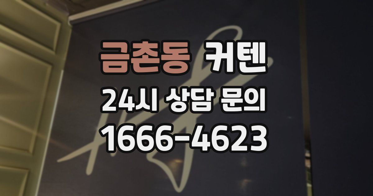 금촌동 커텐