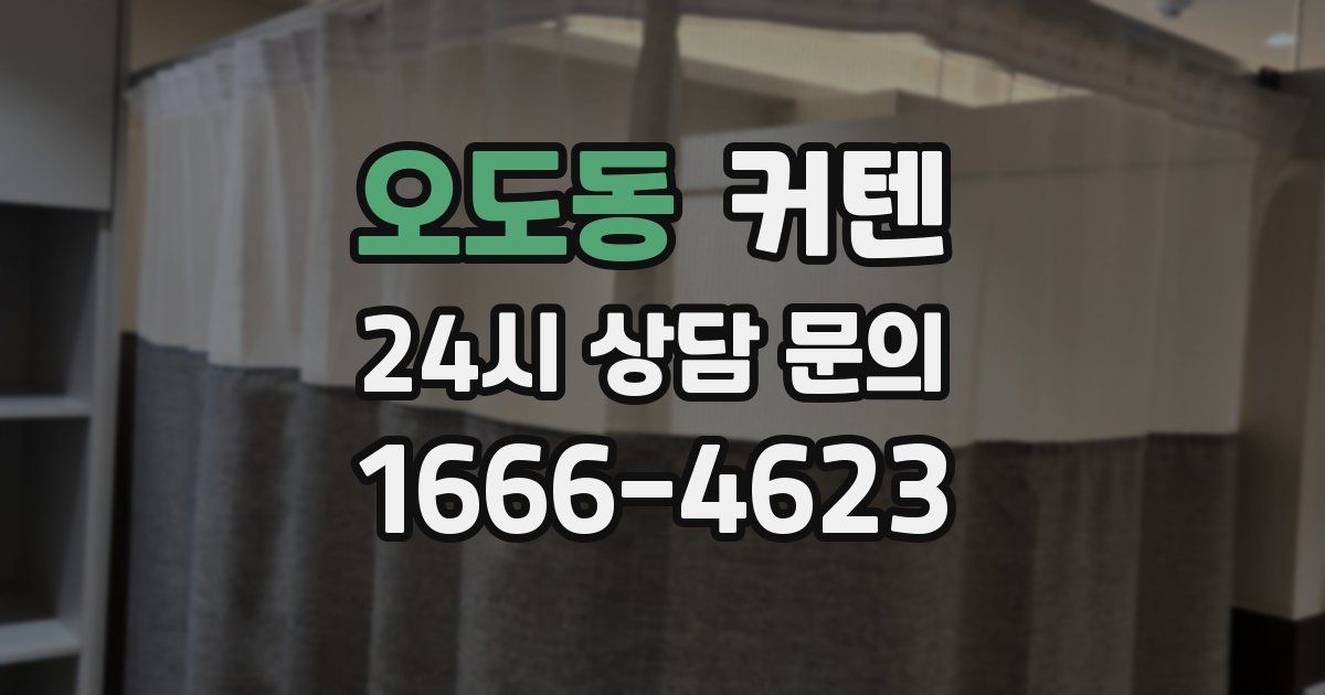 오도동 커텐