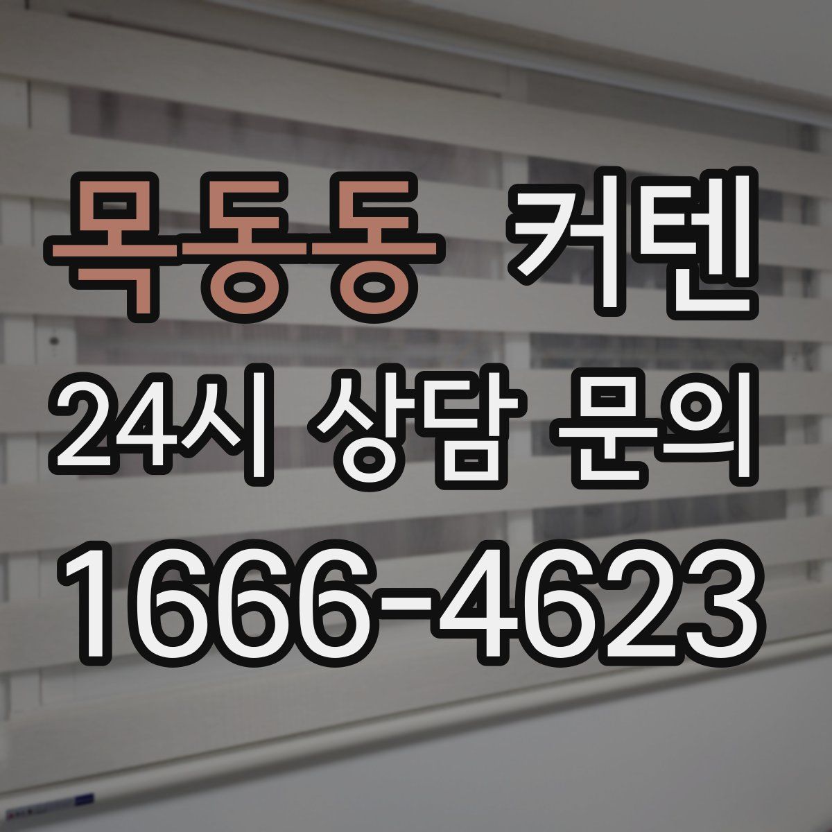 목동동 커텐
