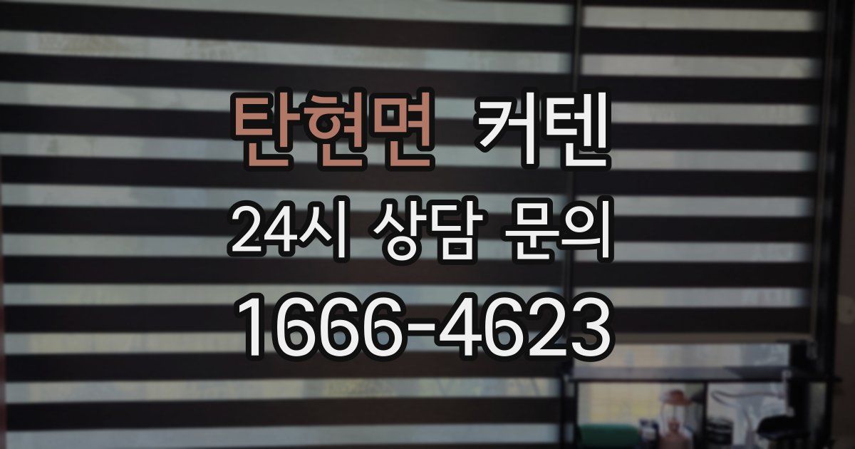 탄현면 커텐