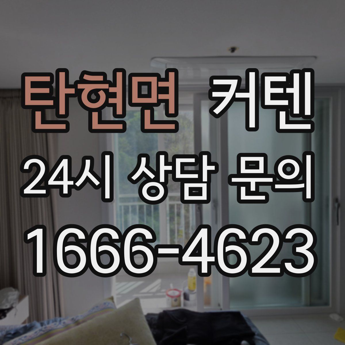 탄현면 커텐