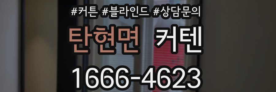 탄현면 커텐