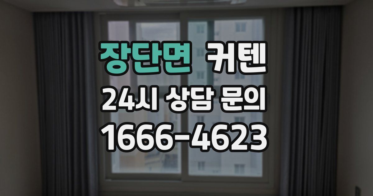 장단면 커텐