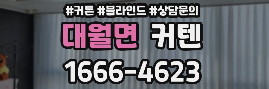 대월면 커텐