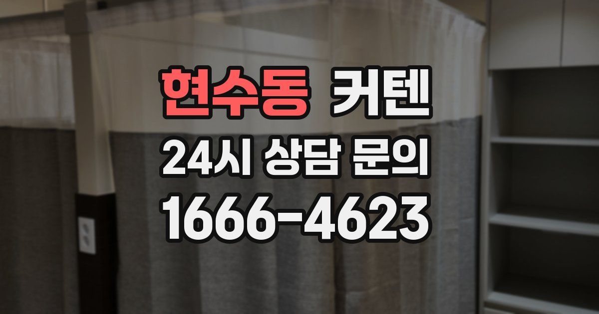 현수동 커텐