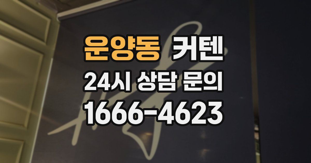 운양동 커텐