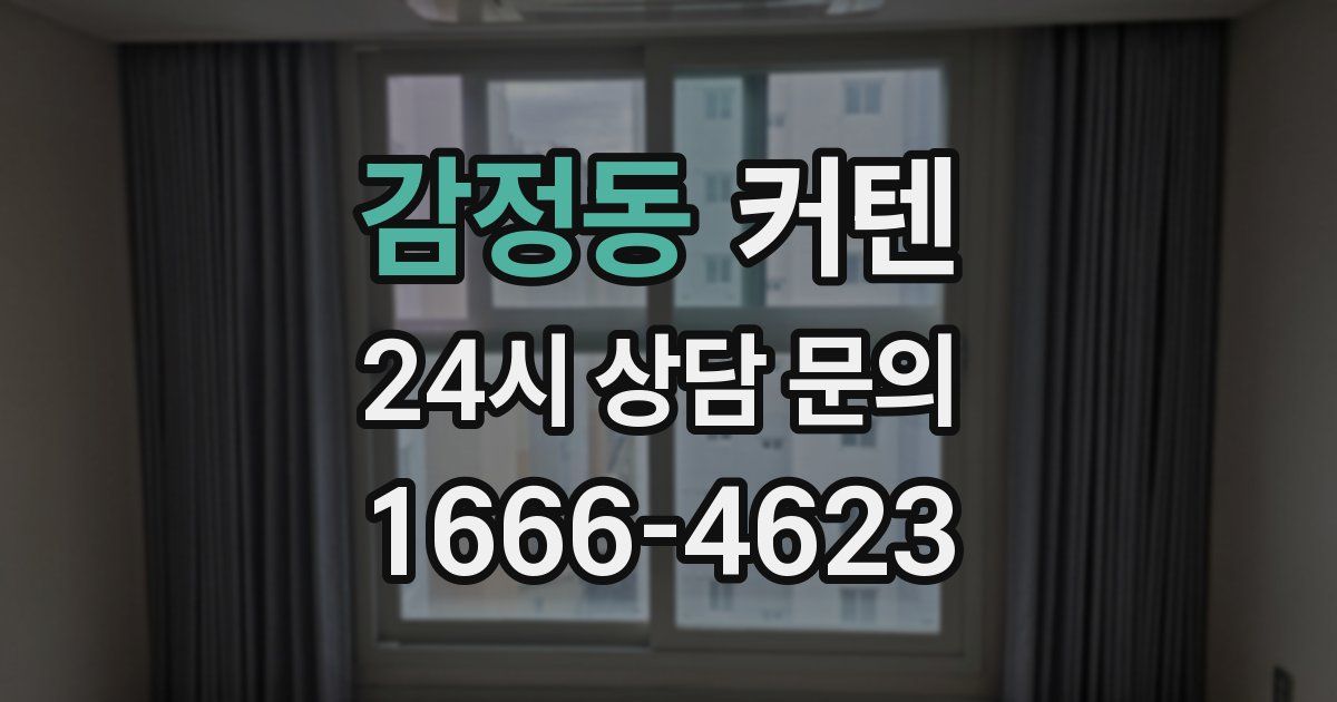 감정동 커텐