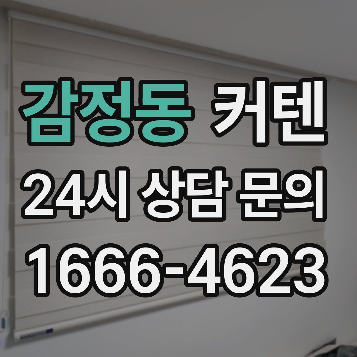 감정동 커텐