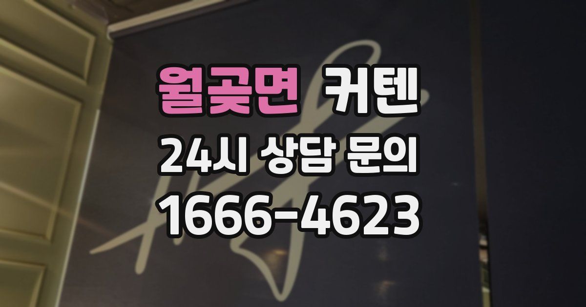 월곶면 커텐