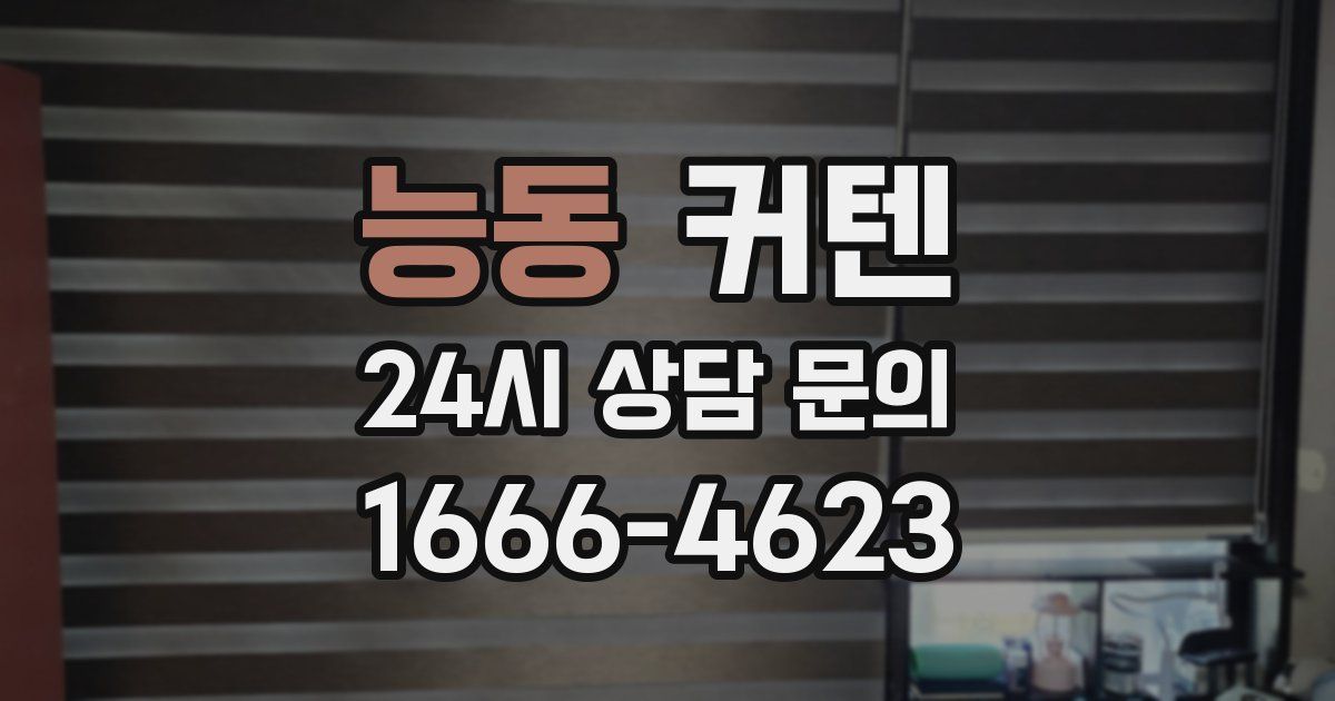 능동 커텐