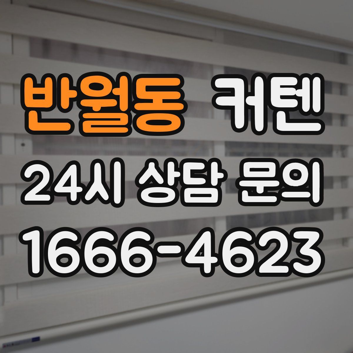 반월동 커텐
