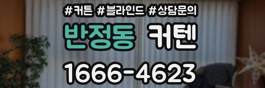 반정동 커텐