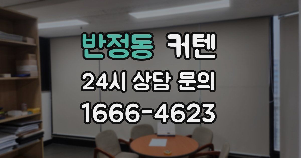 반정동 커텐