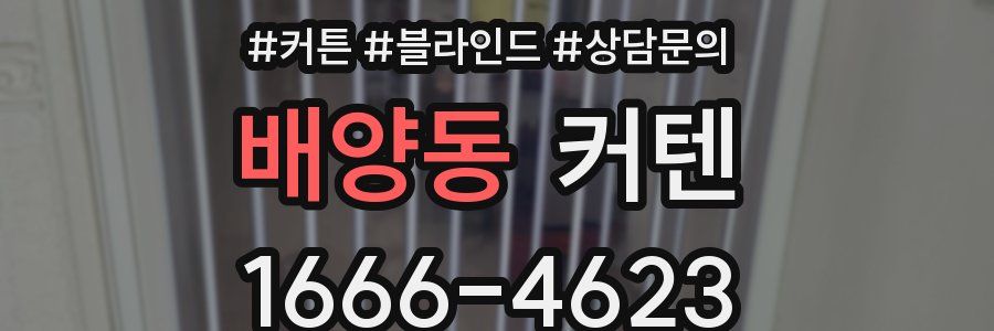 배양동 커텐