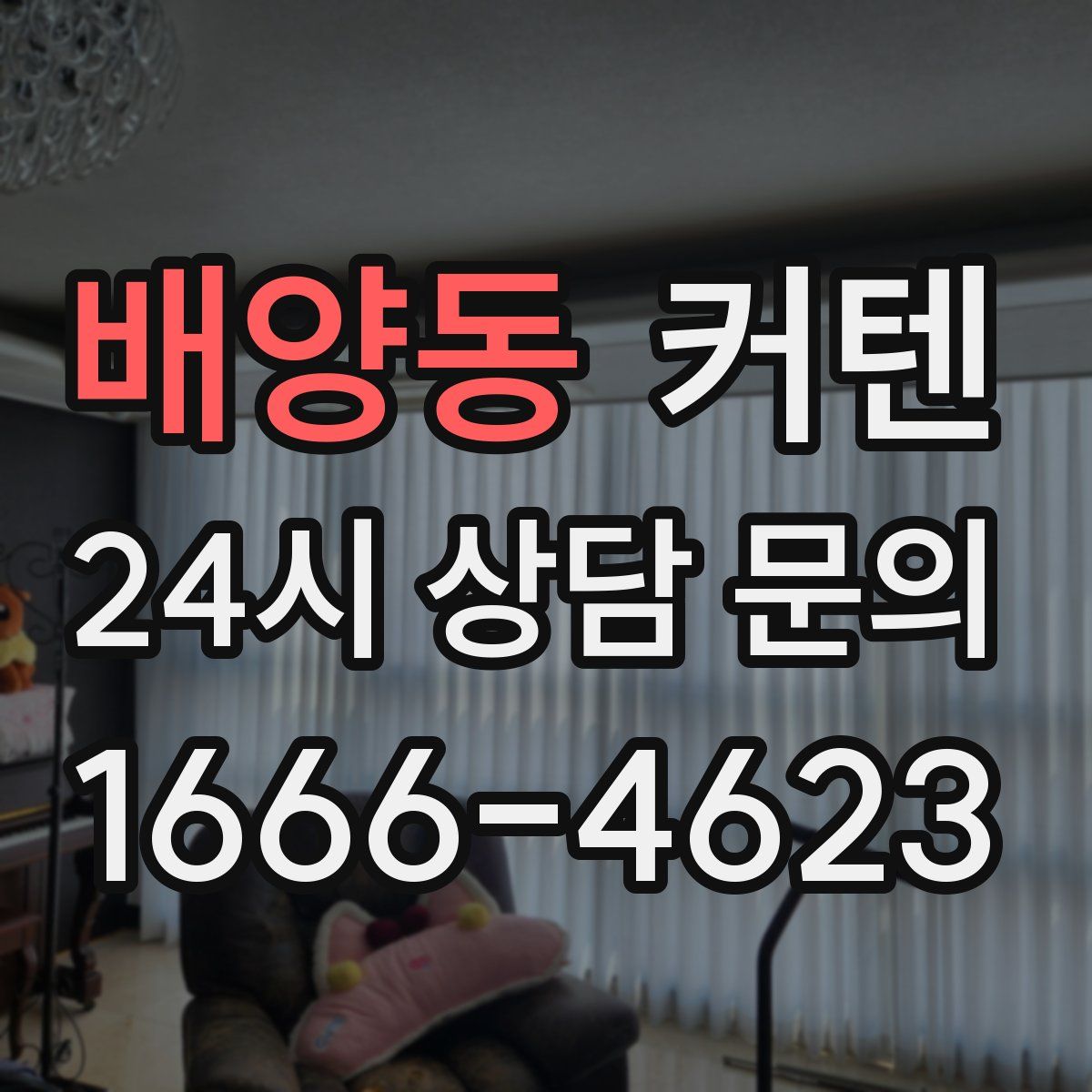 배양동 커텐