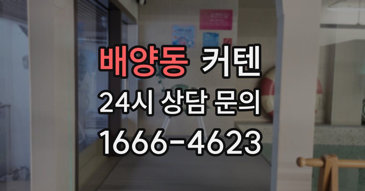 배양동 커텐