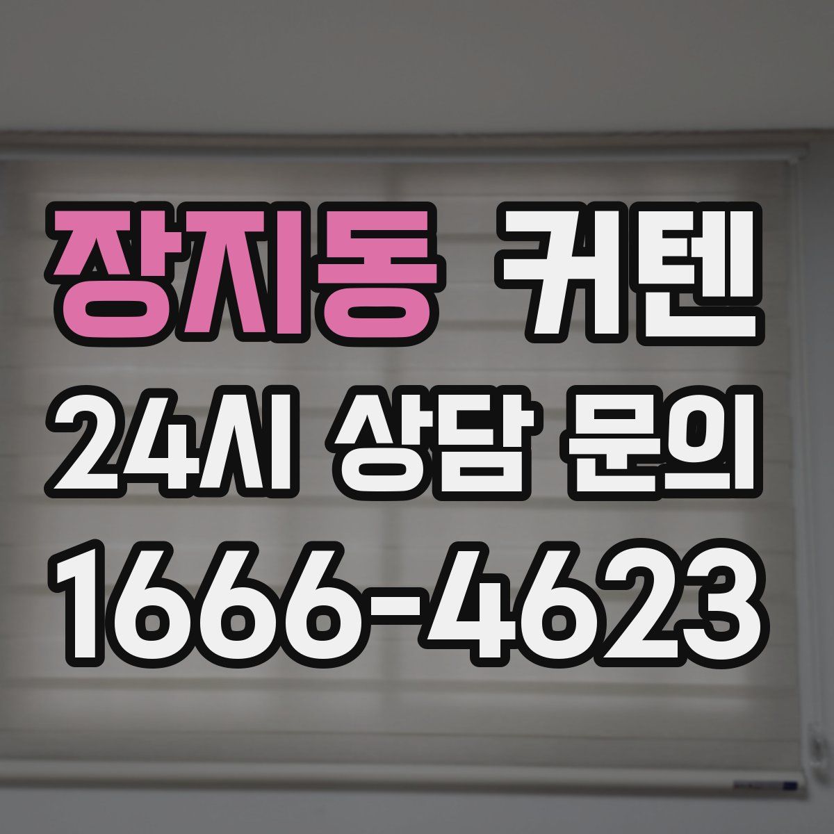 장지동 커텐