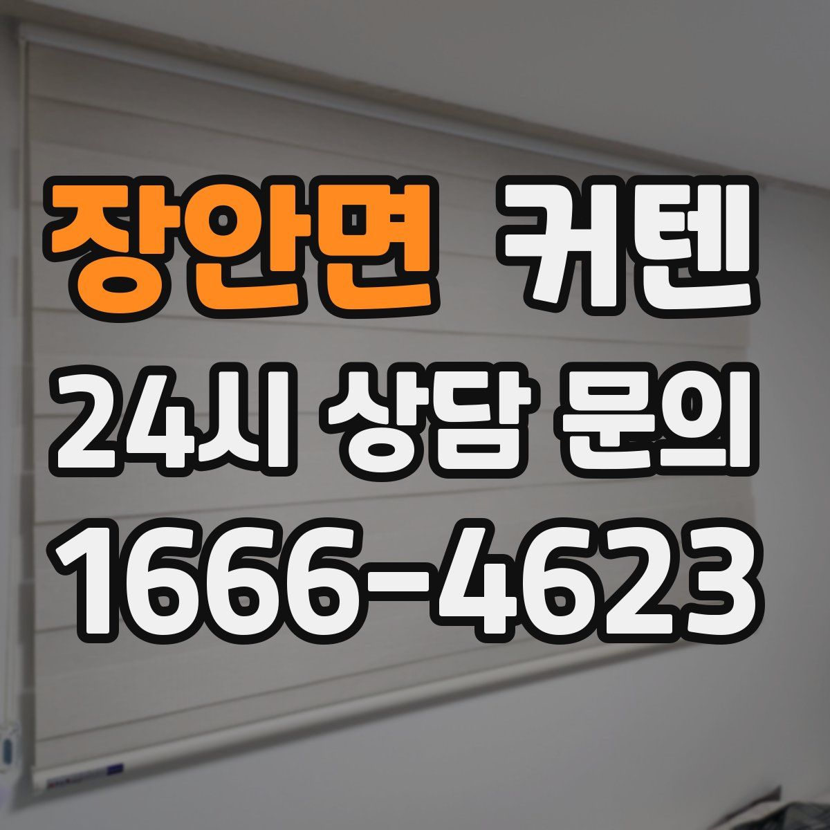 장안면 커텐