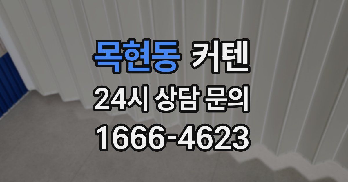 목현동 커텐