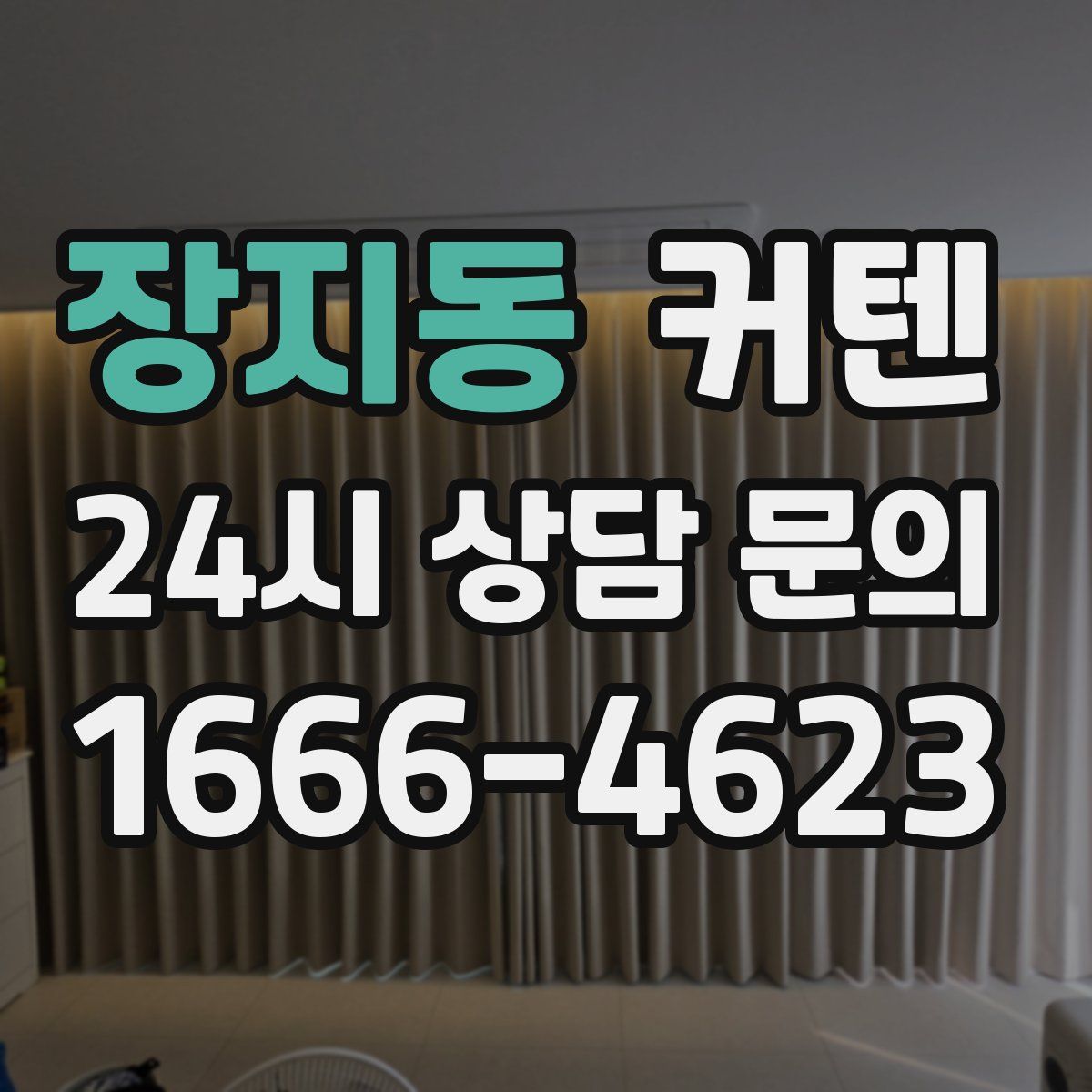 장지동 커텐