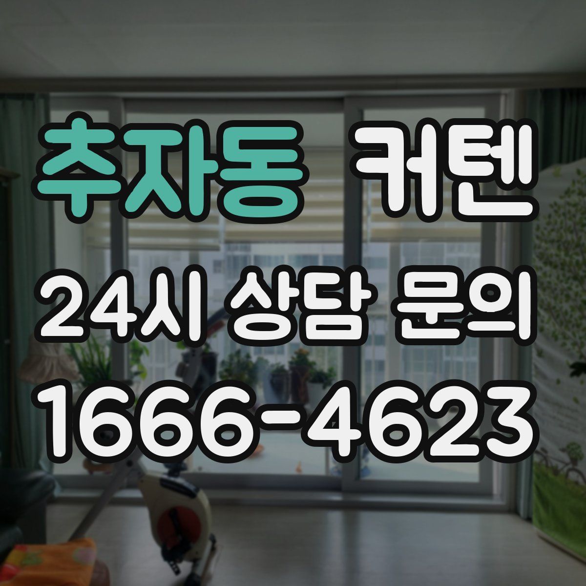 추자동 커텐