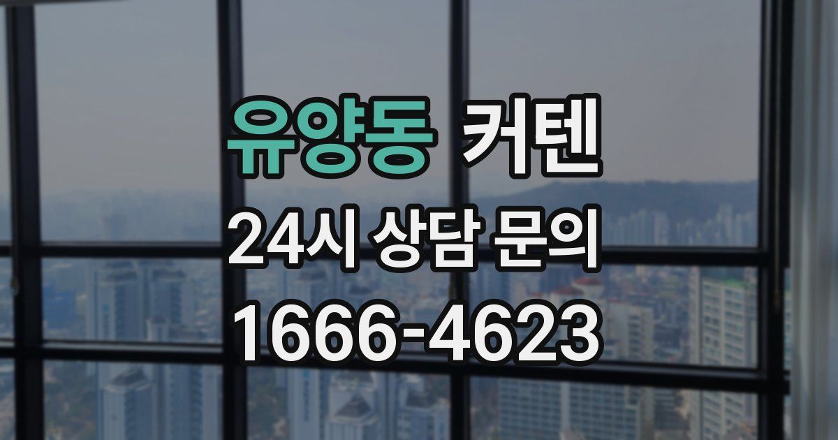 유양동 커텐