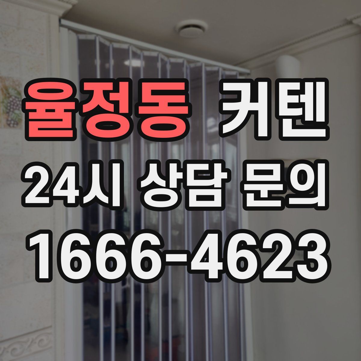 율정동 커텐