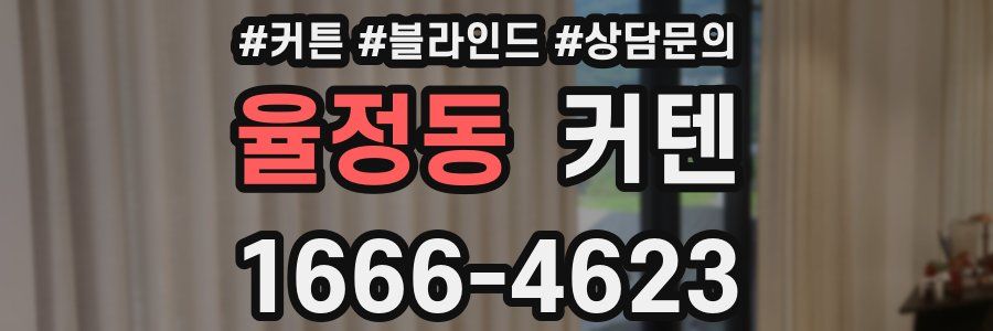 율정동 커텐