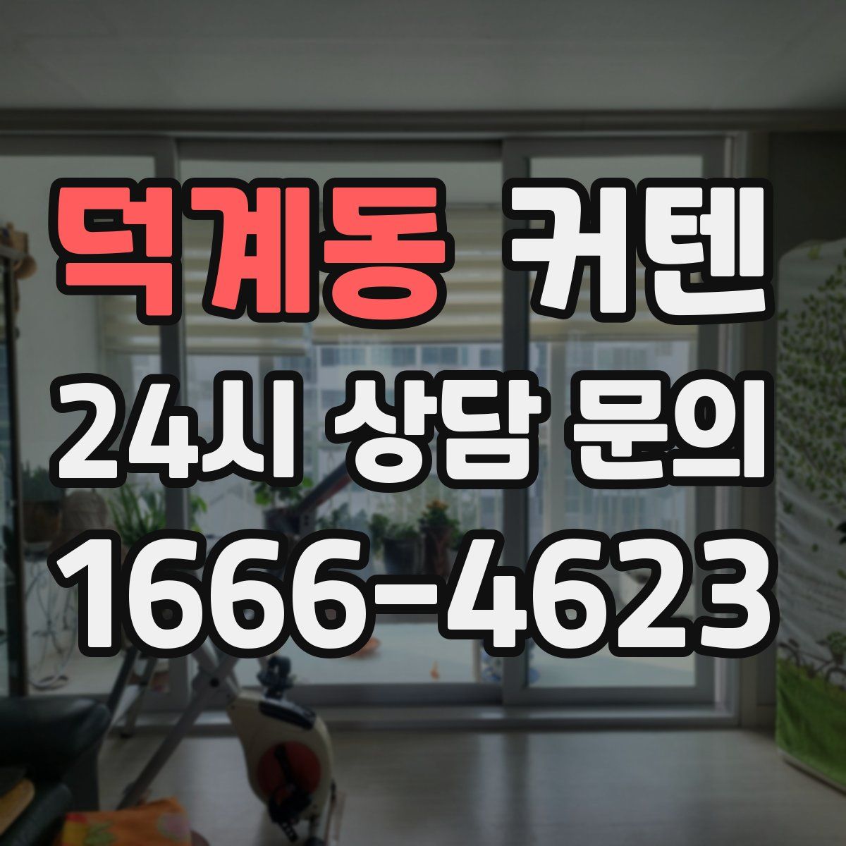 덕계동 커텐
