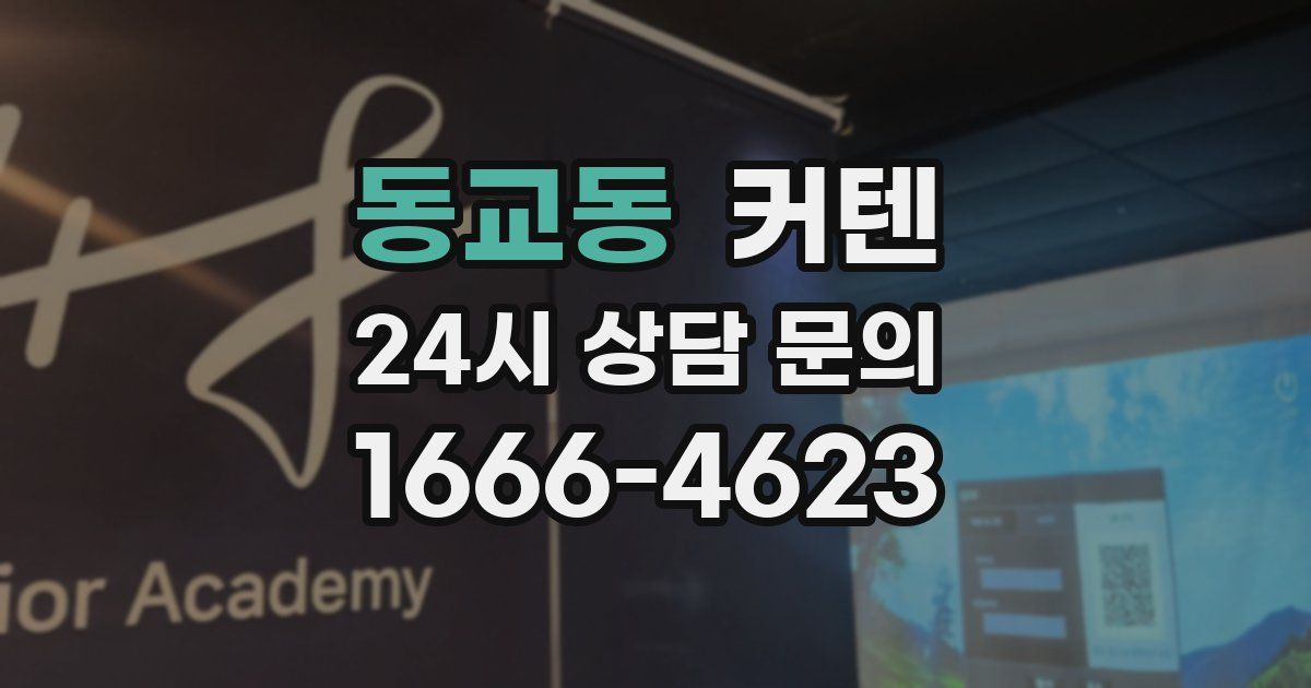 동교동 커텐