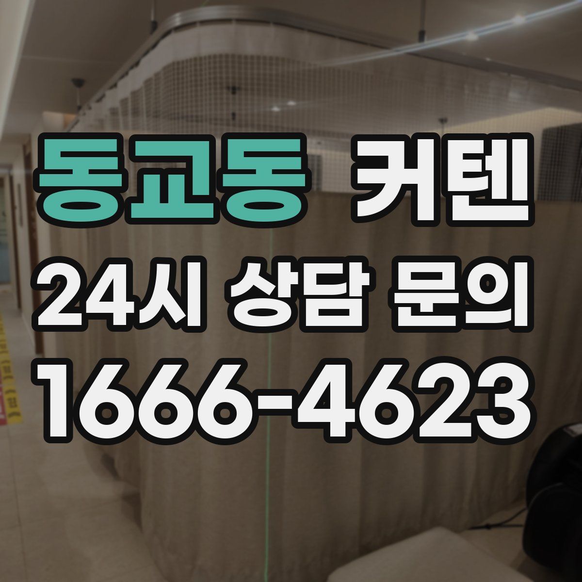 동교동 커텐