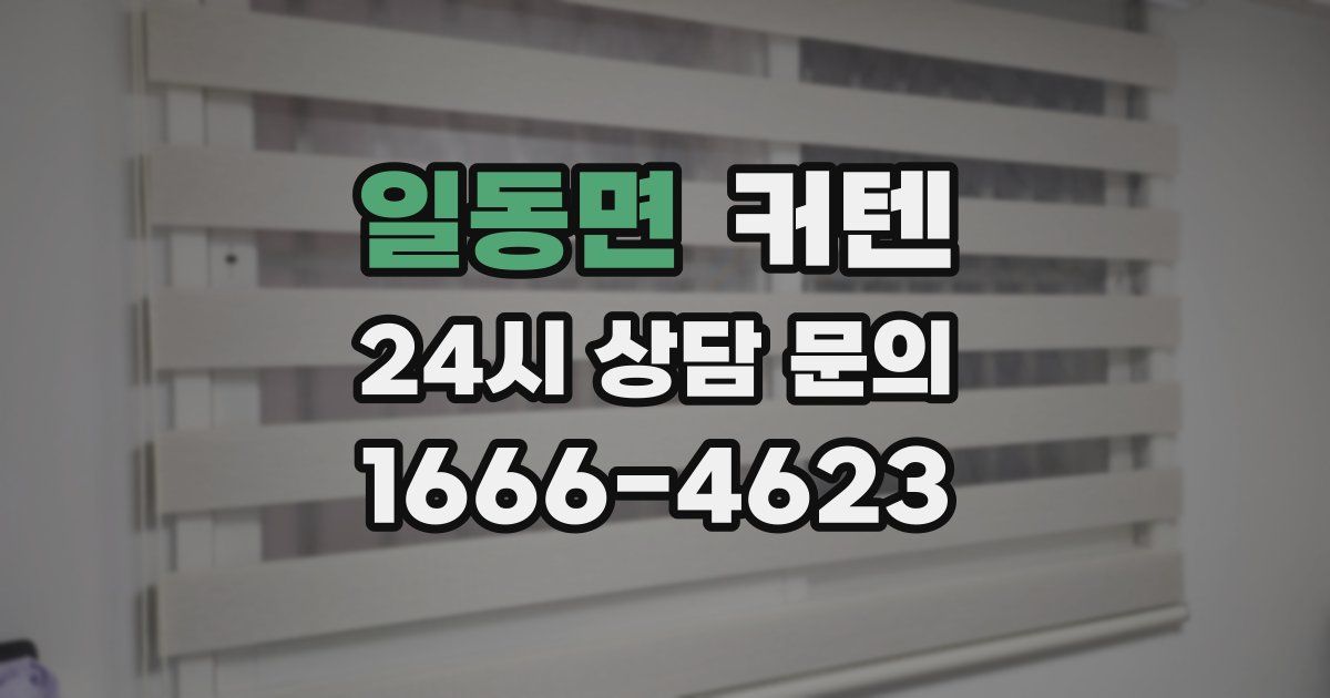일동면 커텐