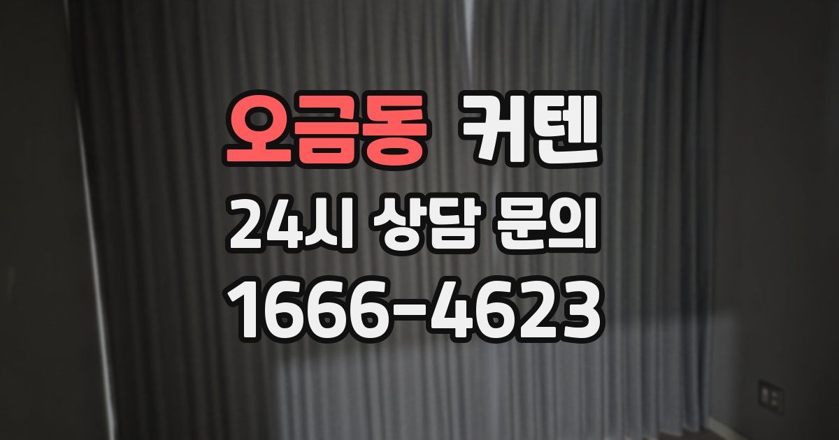오금동 커텐