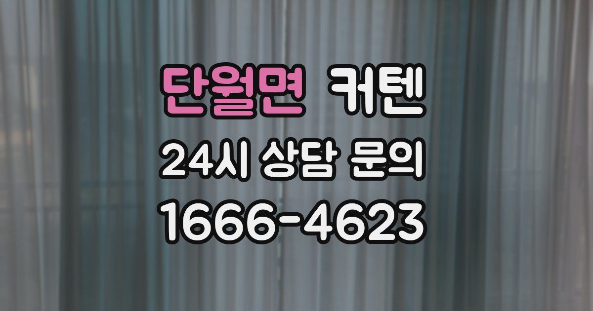 단월면 커텐