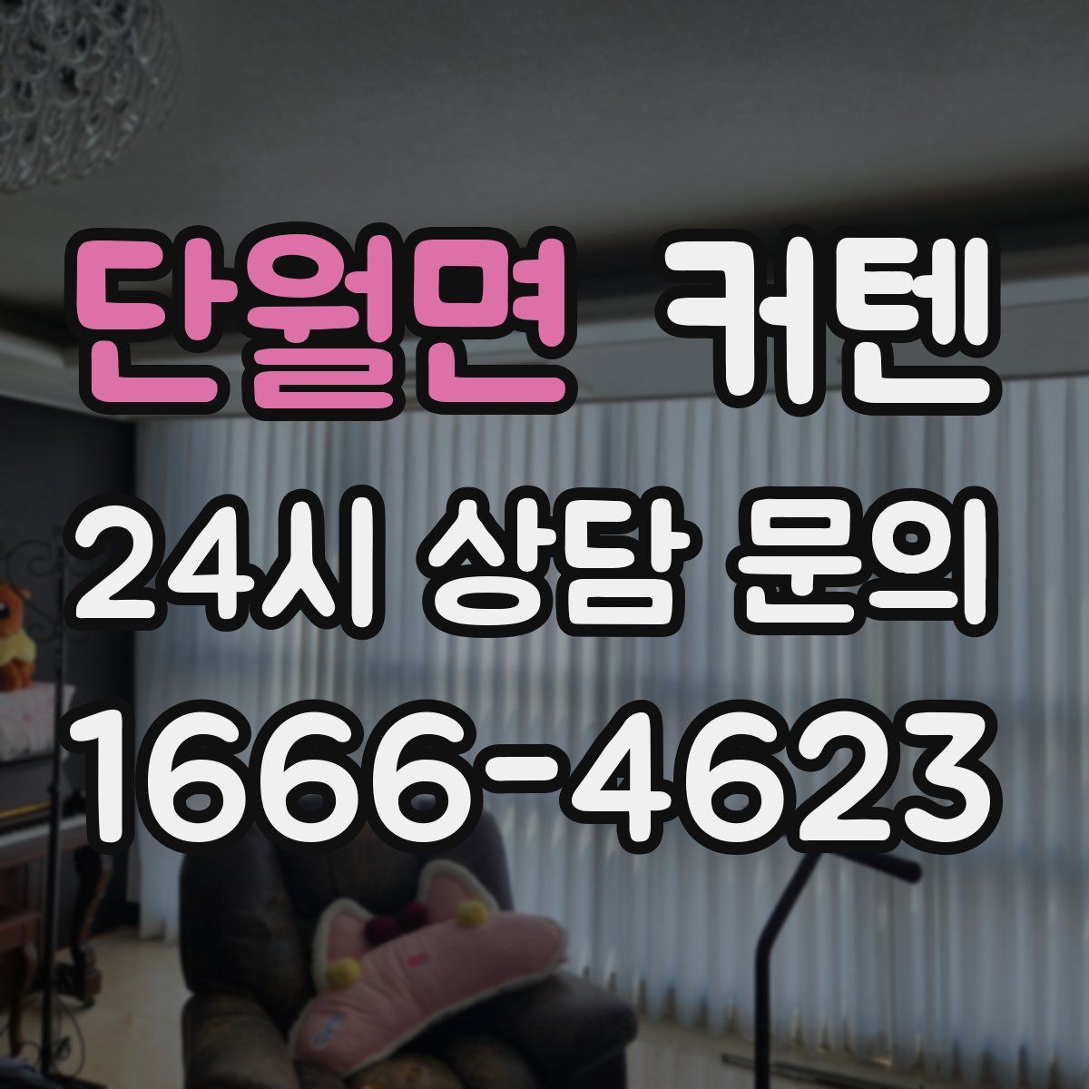 단월면 커텐