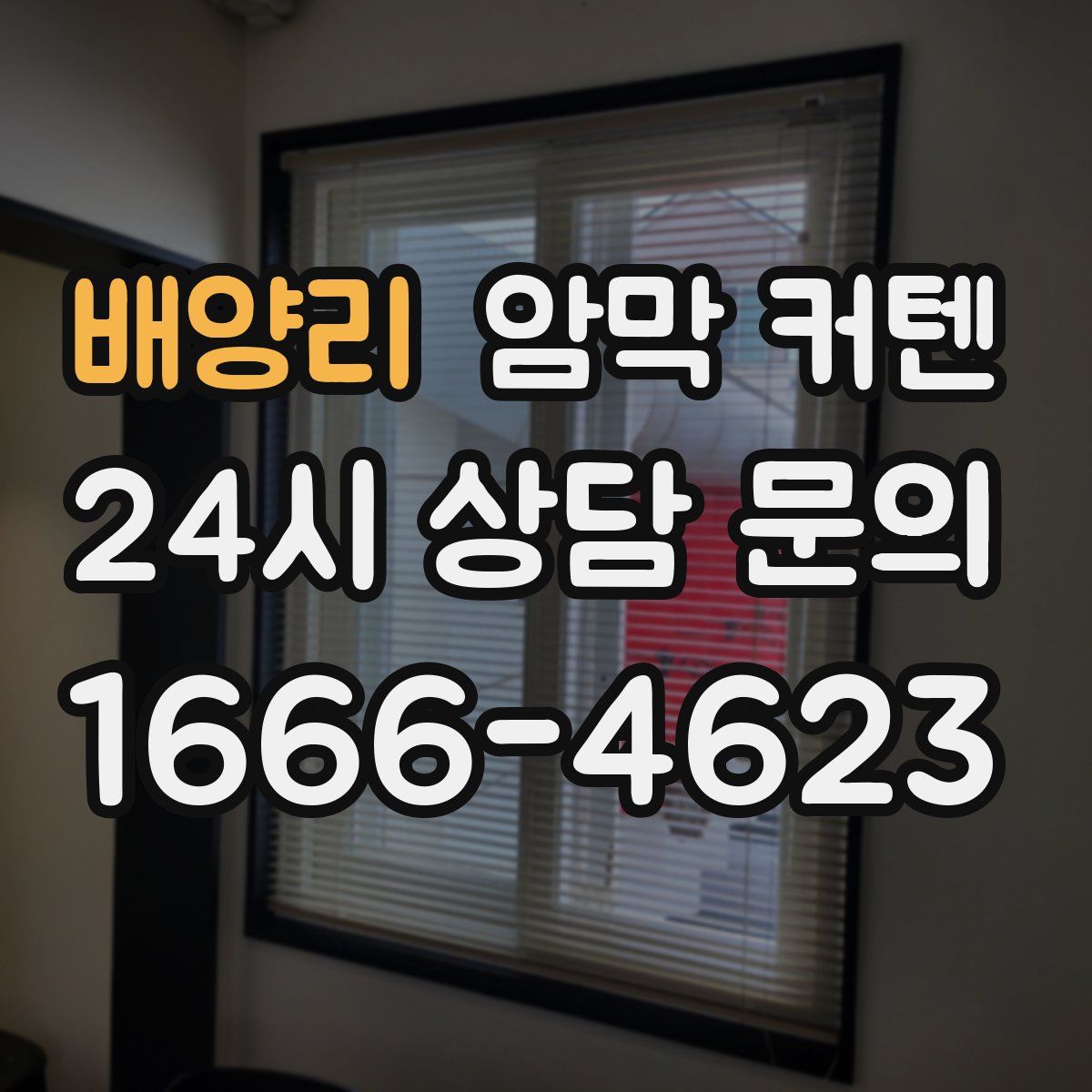 배양리 암막 커텐