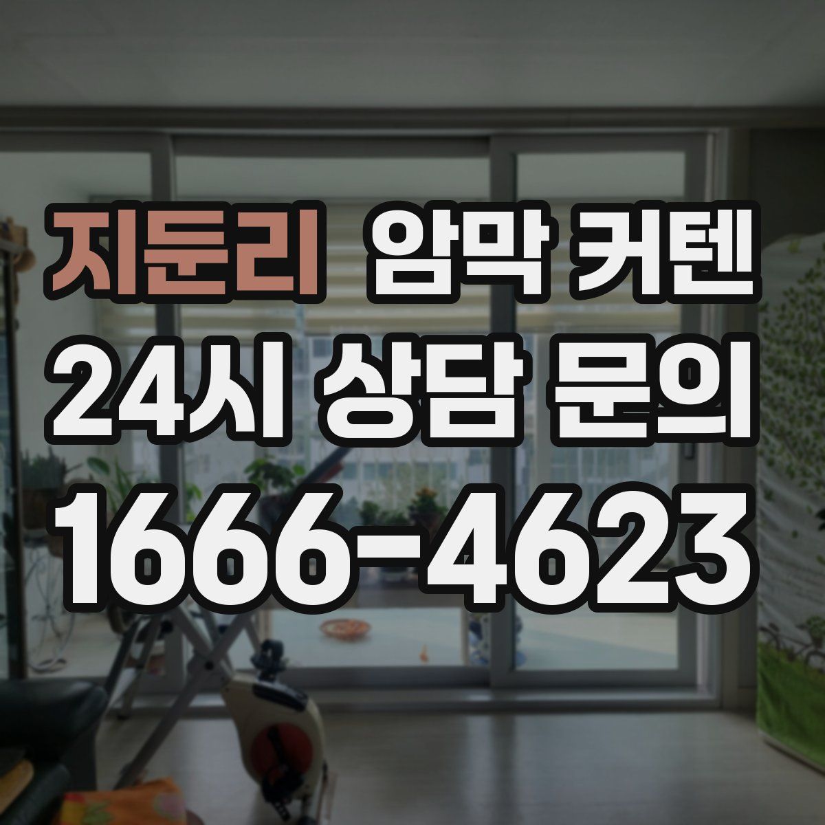 지둔리 암막 커텐