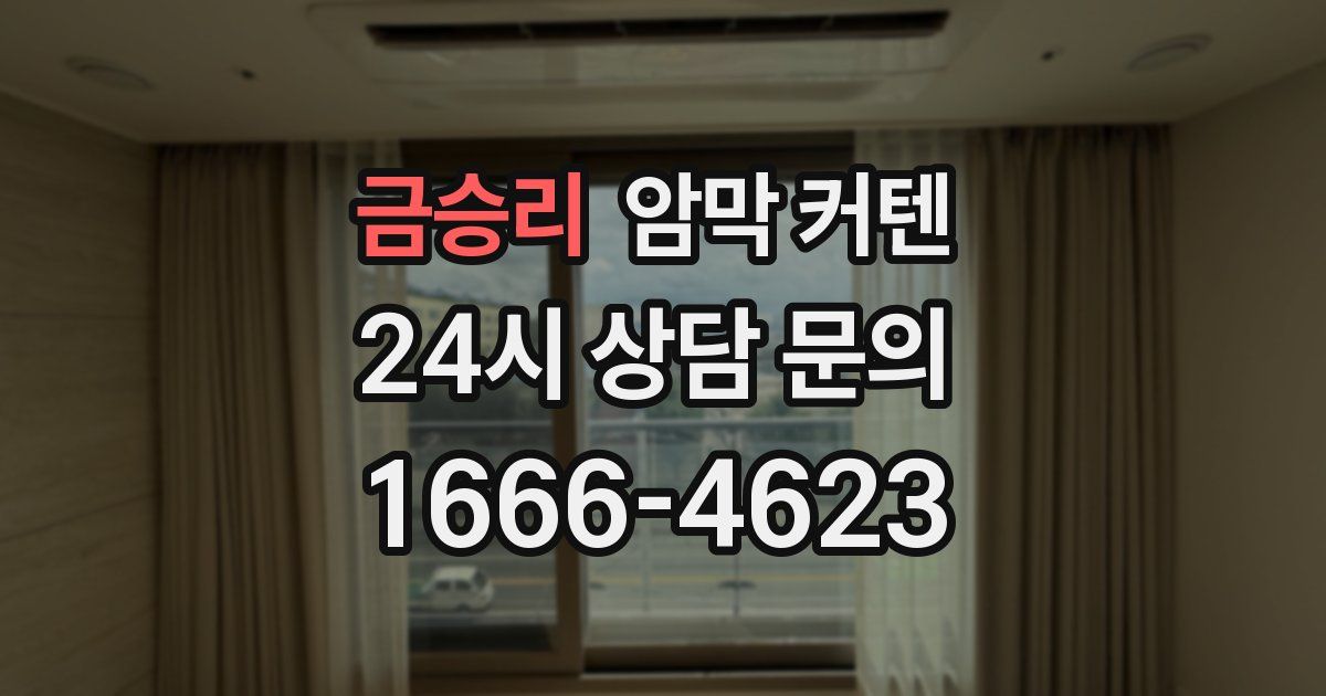 금승리 암막 커텐