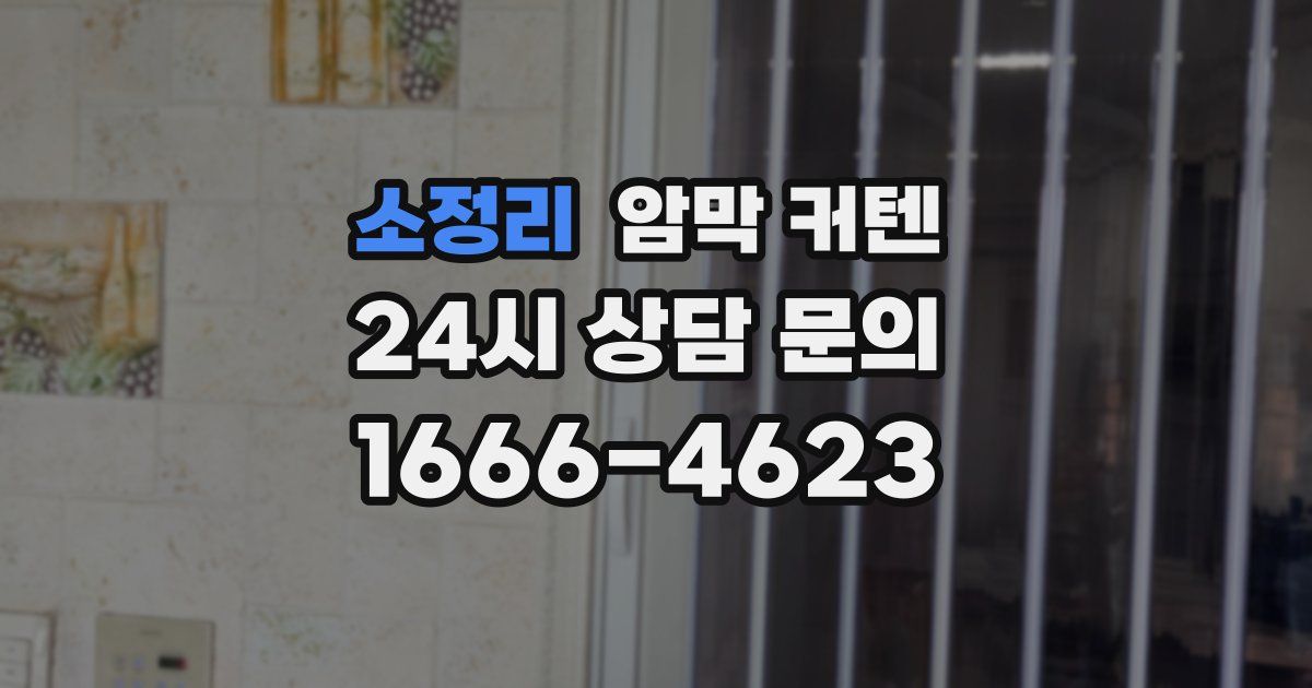 소정리 암막 커텐