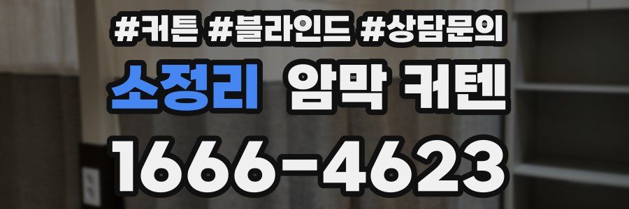 소정리 암막 커텐