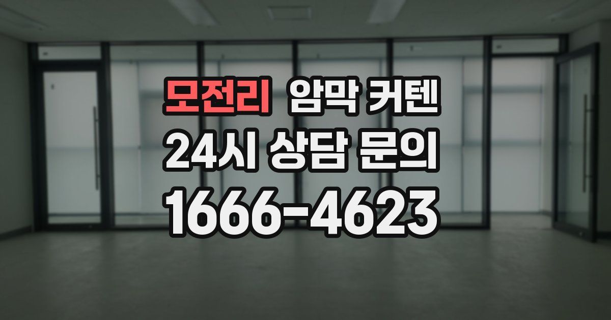 모전리 암막 커텐