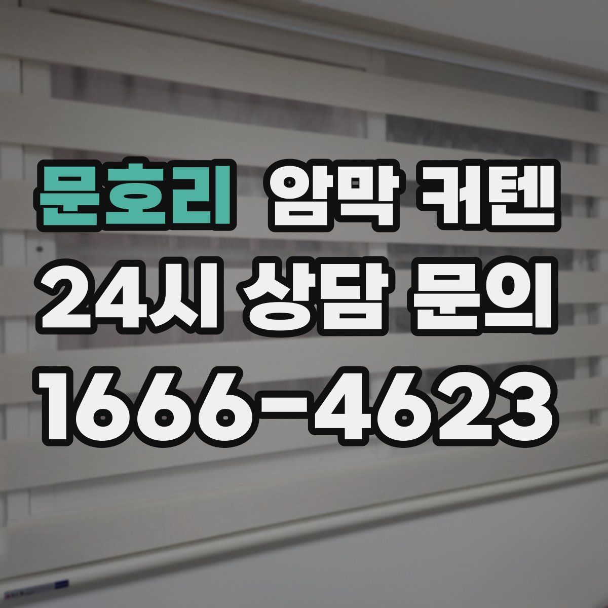 문호리 암막 커텐