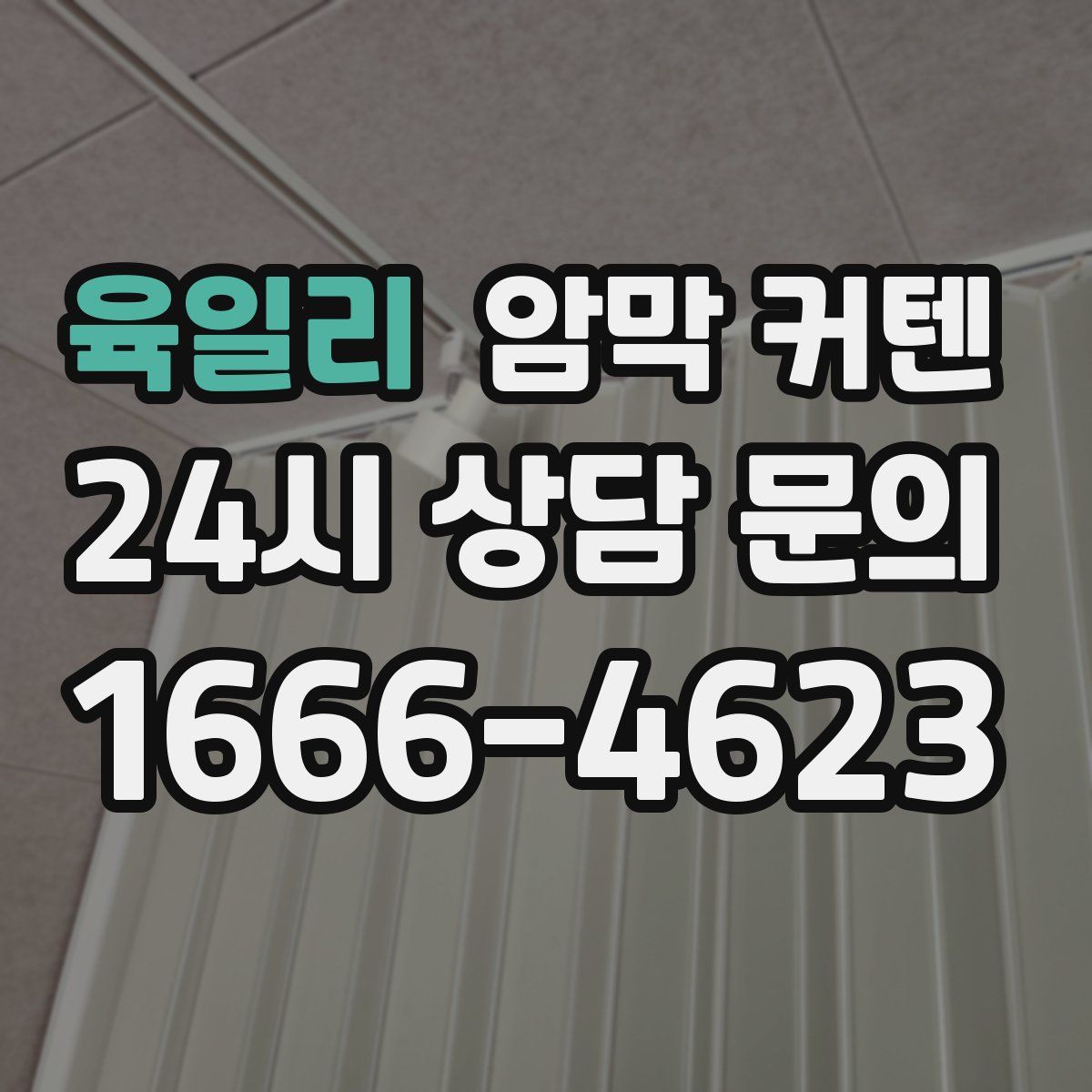 육일리 암막 커텐