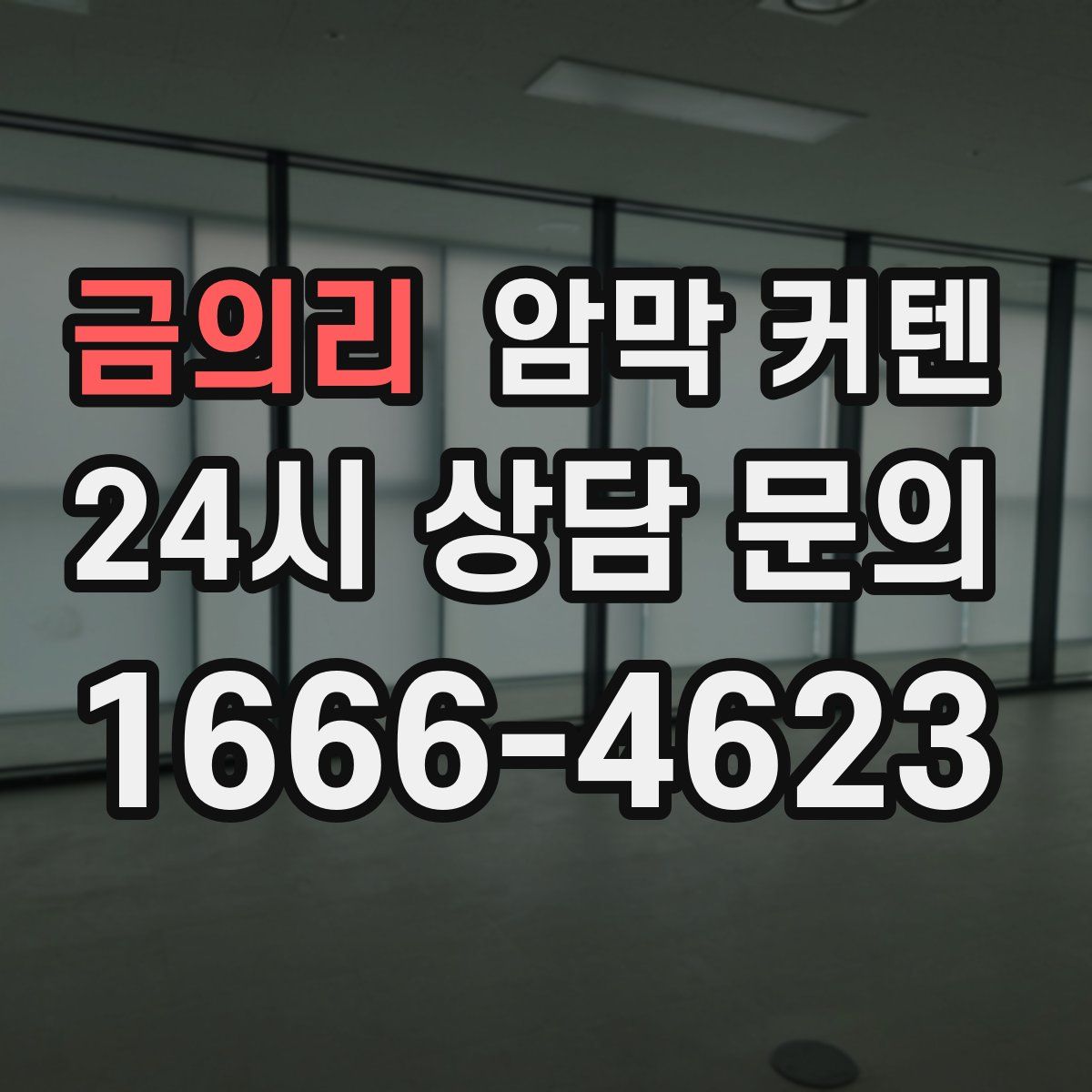 금의리 암막 커텐
