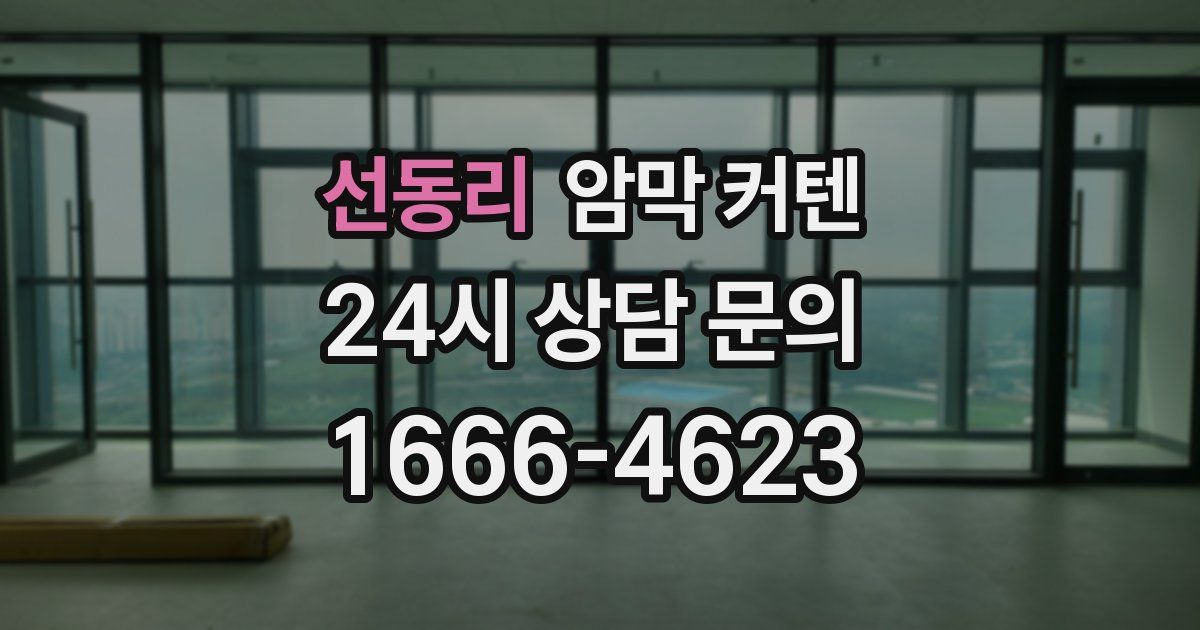 선동리 암막 커텐