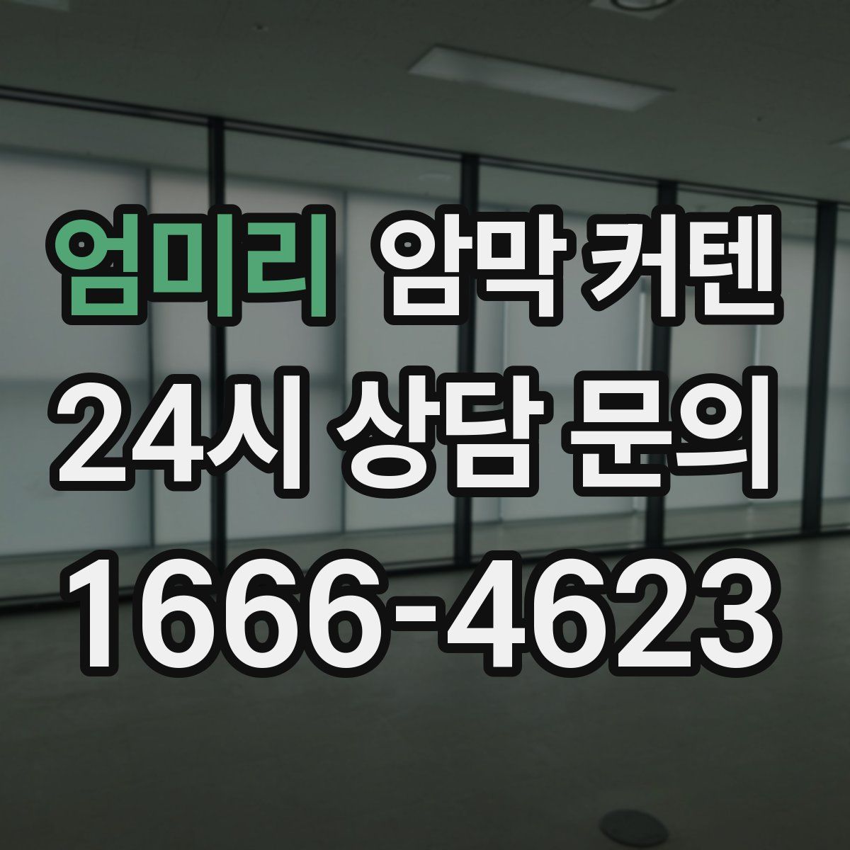 엄미리 암막 커텐