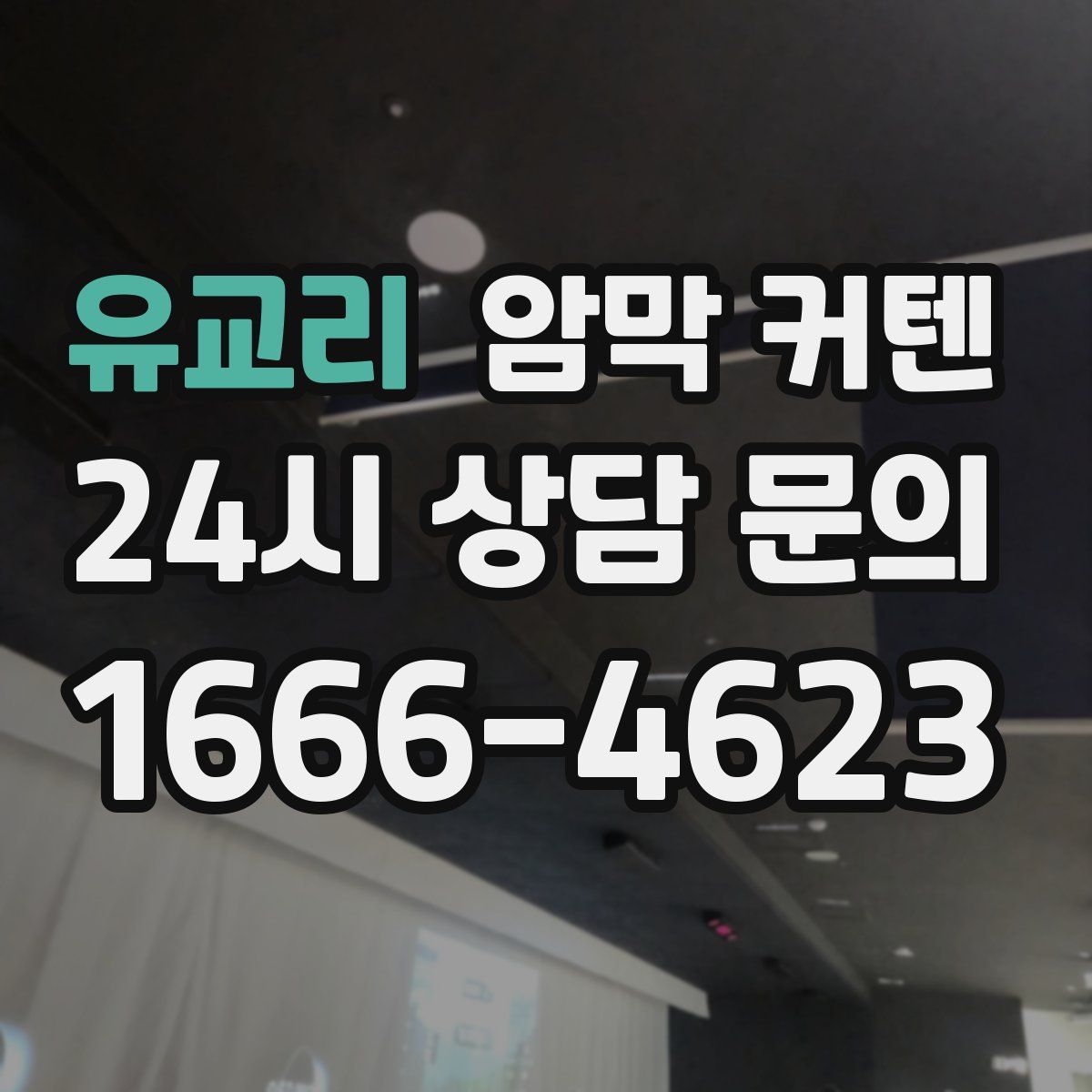 유교리 암막 커텐