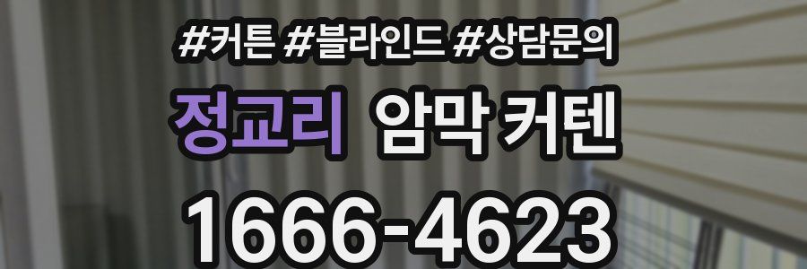 정교리 암막 커텐