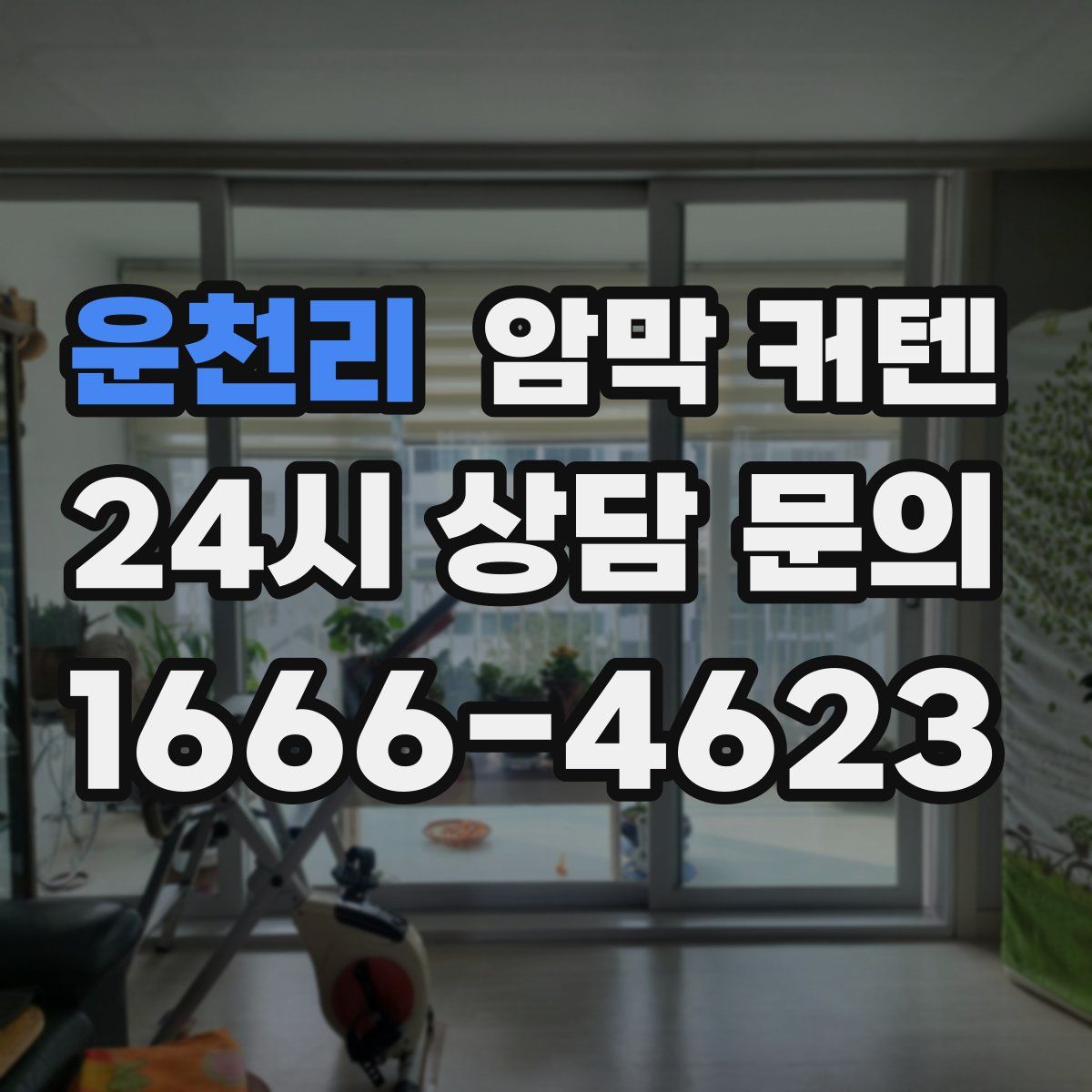 운천리 암막 커텐