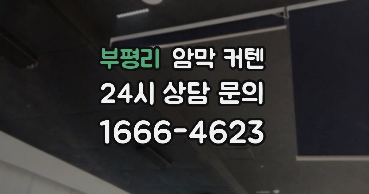 부평리 암막 커텐